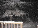 2008-12-20_Snow_Storm 052